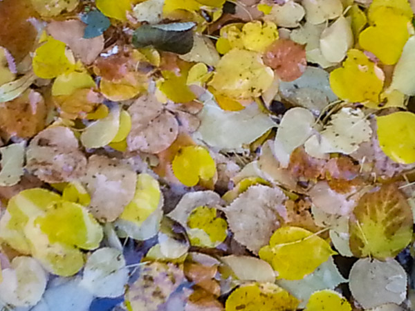 Montreal, Quebec, Canada